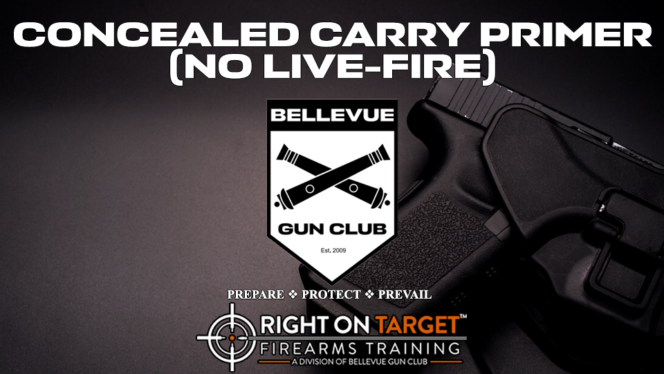 Ad for Concealed Carry Primer
